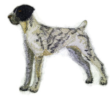 German Shorthaired Pointer