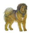 Tibetan Mastiff   