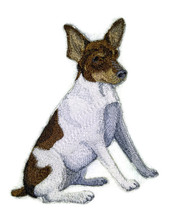 Toy Fox Terrier