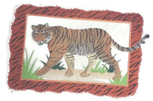 Bengal Tiger With Frame