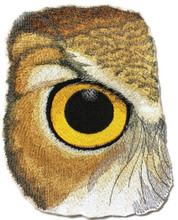 Eye Of Owl 