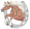 Horse & Horseshoe - Haflinger
