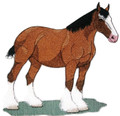 Clydesdale Horse 