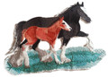 Clydesdale Pair
