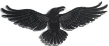 Wild Side Raven