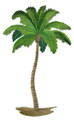 Palm Tree Oasis
