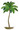 Palm Tree Oasis
