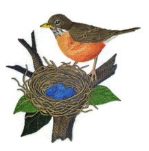 Robin and Nest