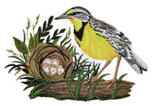 Eastern Meadowlark and Nest