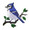 Blue Jay Bird  