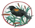 Red-winged Blackbird and Cattail Circle