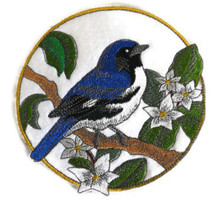 Black billed Magpie And Lupine Circle