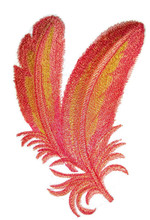 Flamingo Feathers in Watercolor
