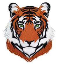 Royal Bengal Tiger face