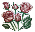 Sketch Roses