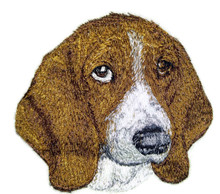 Basset Hound  Dog Face