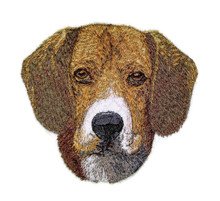 Beagle  Dog Face