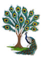Peacock Tree 