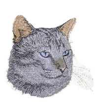 Lynx point Siamese Cat Face