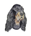 Amazing Dog Face [Gordon Setter Dog Face] Embroidery Iron On/Sew patch