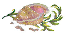Seashell  in Watercolor