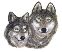  Wolf Pair
