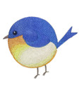 Roly-Poly Bluebird
