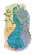 Peacock in Watercolor
