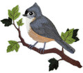 Tufted Titmouse-