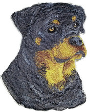 Rottweiler