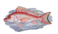 Red Snapper Fish 