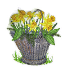 Pretty Pail Daffodil   