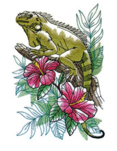 Tropical Iguana Sketch
