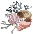 Sea Shell Portrait