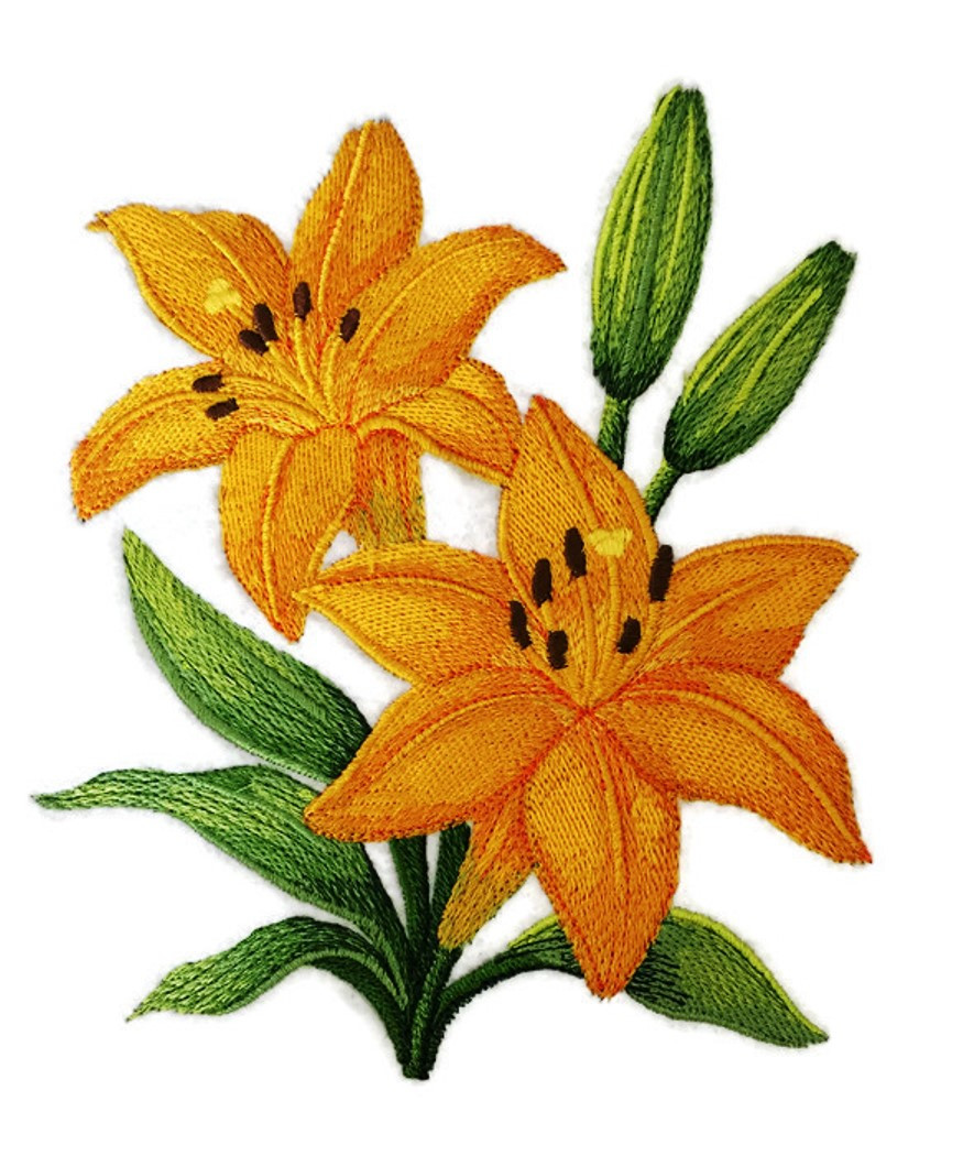Custom and Unique Garden's Best Delight Flower [ Yellow Lily
