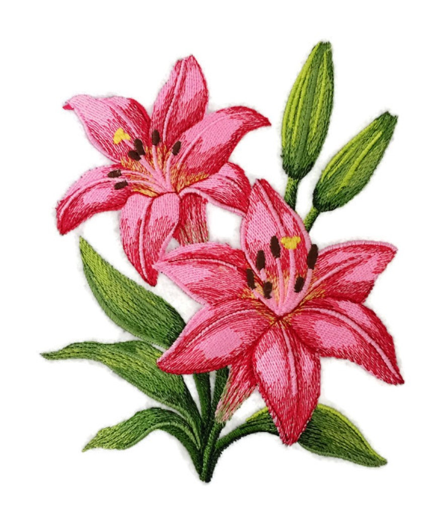PINK DAHLIA FLOWER IN BLOOM Embroidered Sew Iron On Cloth Patch Badge APPLIQUE