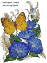 Clouded Yellow Butterfly And Morning Glories
