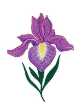  Bloom Iris