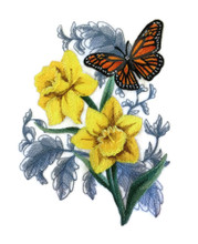 Monarch Butterfly and Daffodils