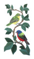 Painted Bunting Panel