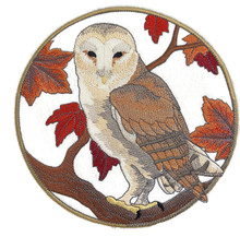 Barn Owl in Autumn