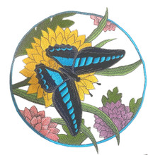 Common Bluebottle Butterfly Circle