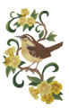 South Carolina Great Carolina Wren and Jessamine Bird 