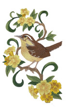 South Carolina Great Carolina Wren and Jessamine Bird 