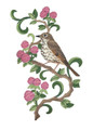Vermont Hermit Thrush and Red Clover Medley