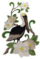 Eastern Brown Pelican
