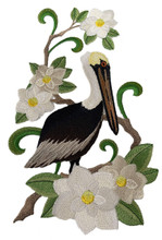 Eastern Brown Pelican