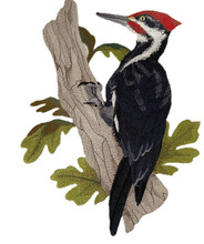 Pileated Woodpecker Bird