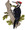 Pileated Woodpecker Bird