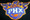 Phoenix Suns logo Iron On Patch
